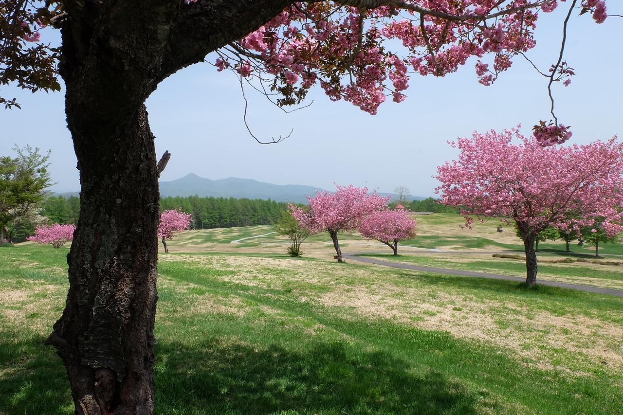 Appikogen Pension Mutti Hachimantai  Exteriér fotografie